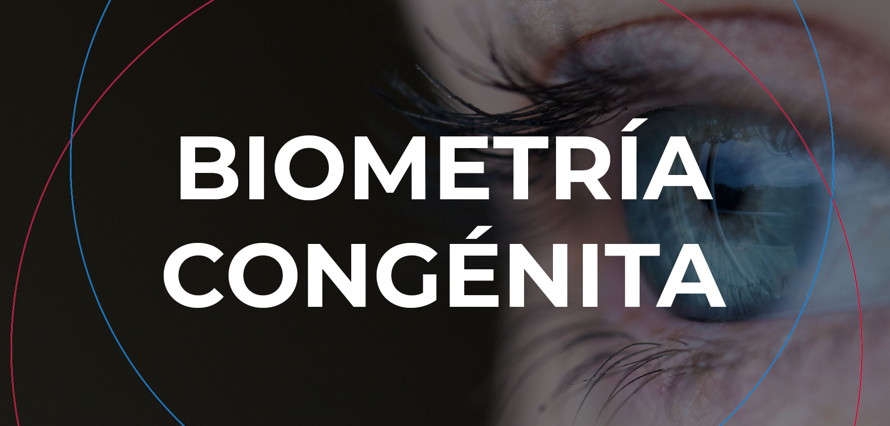 biometria-blogg